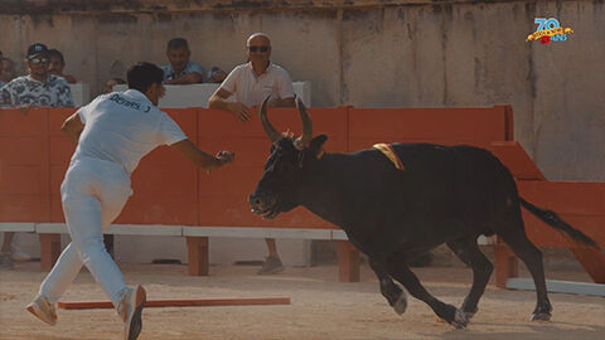 Feria Jour 2 -