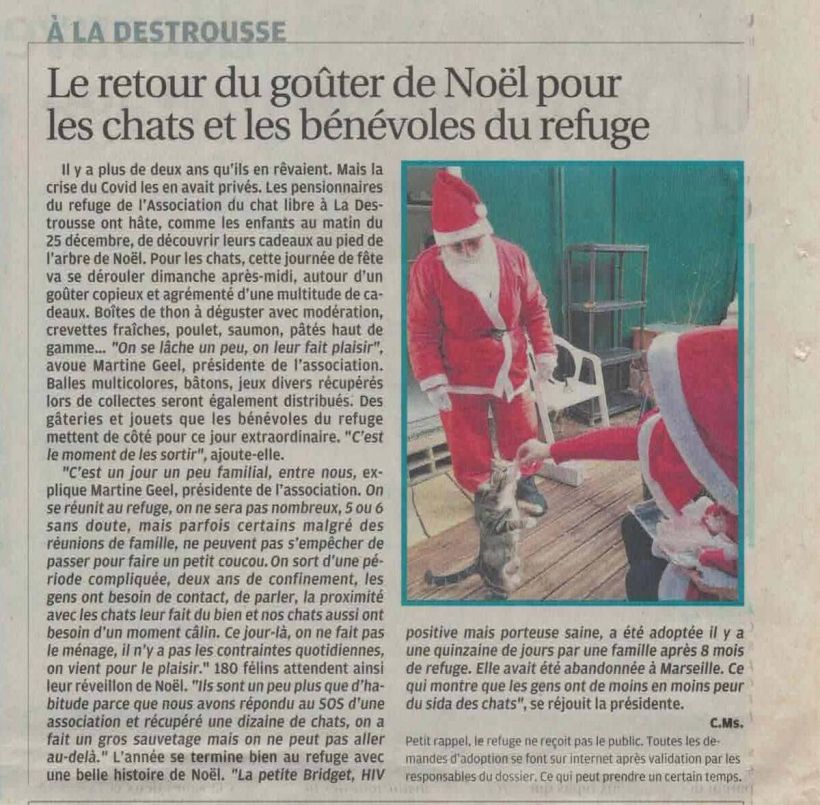 La Provence du 24 décembre 2022 - Goûter de Noël La Provence, 24 décembre 2022
La crise du COVID avait privé les petits pensionnaires du refuge de l'association du chat libre de la fête de Noël depuis 2 ans. Ils en rêvaient ! Comme les enfants au matin du 25 décembre, les chats ont hâte de découvrir leurs cadeaux au pied de l'arbre de Noël. Cette journée de fête se déroulera ce dimanche après-midi autour d'un copieux goûter : boîtes de thon, crevettes fraîches, poulet, saumon, pâtés haut de gamme...