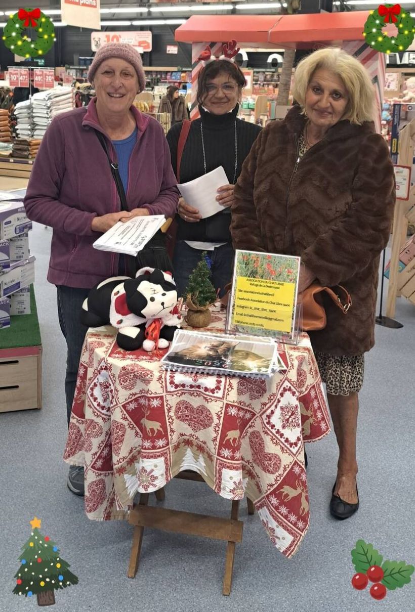 animalis-211225-stella-marieh-domi.jpg -