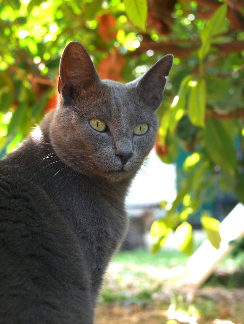 charlou4.jpg -