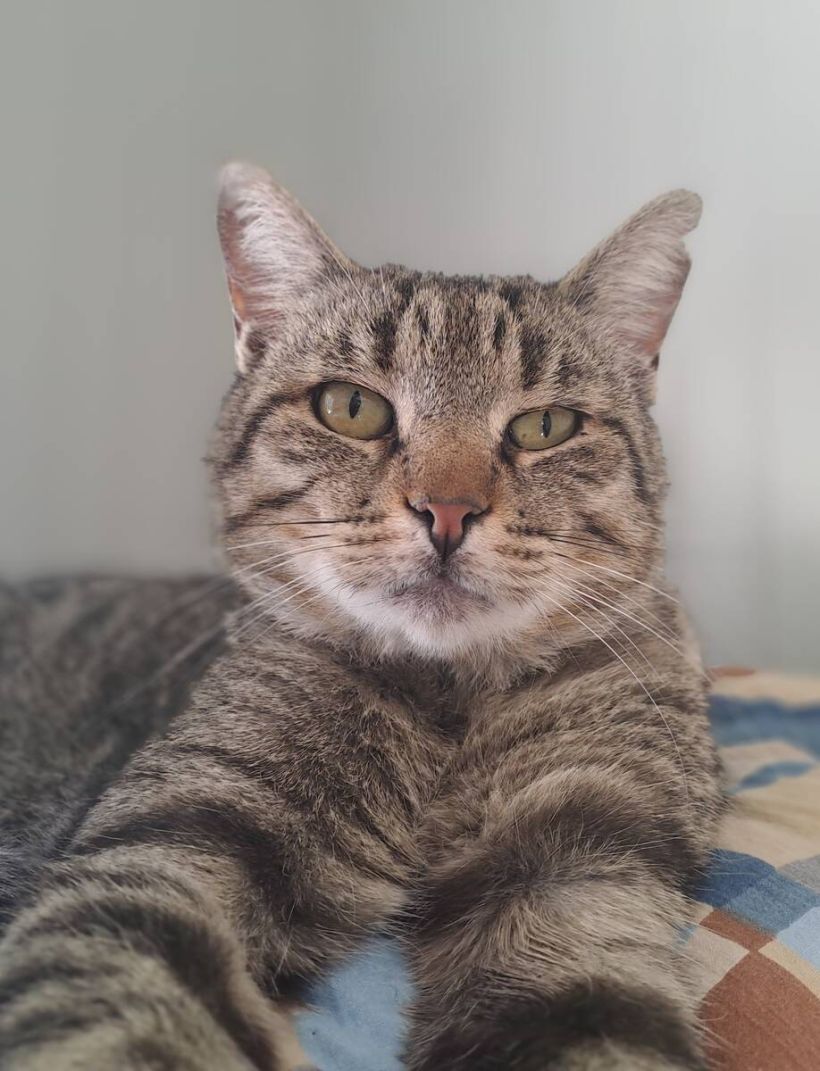 norbert.jpg -